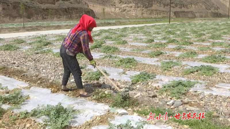 1625538810518510.jpg 微信圖片_20210705174921_副本.jpg