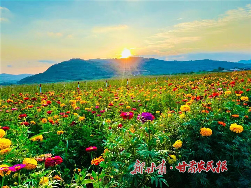 鮮花與果園交相輝映_proc.jpg