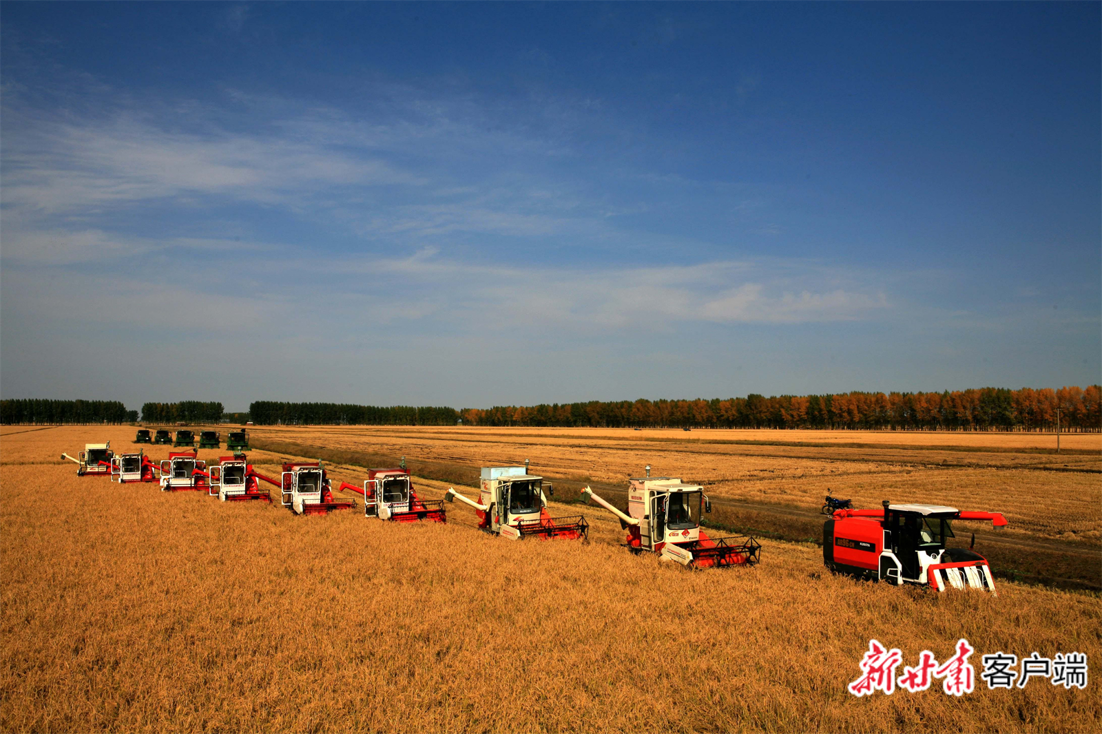 FZ007237497981_A4882695