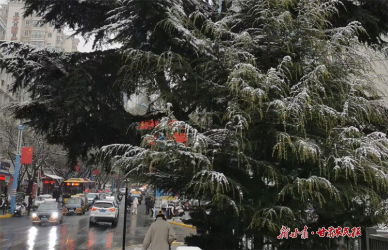 微信圖片_20250228103203