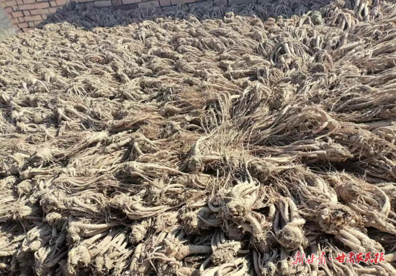 1764208452638577.png 微信圖片_20251126110657_123_124.png