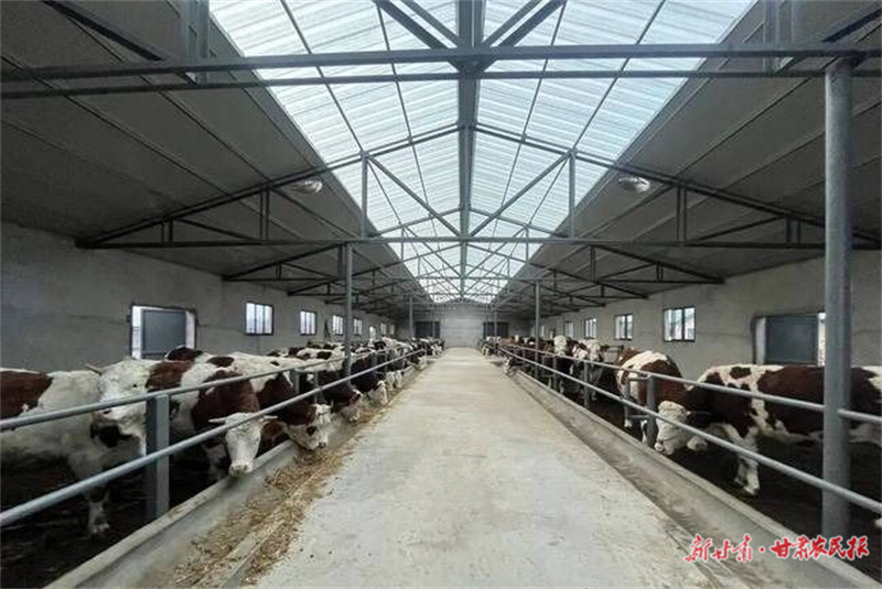 8531910b592542039df4ddf9b2420dd4