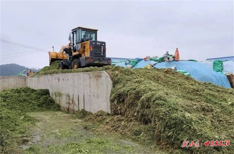 6943b15b394143a798d41fa4728cb41b