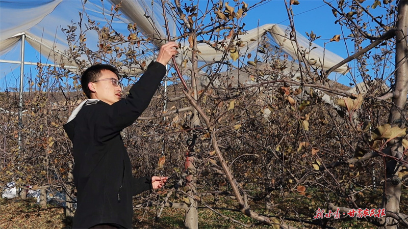 馬茹港實(shí)地查看樹(shù)勢(shì)