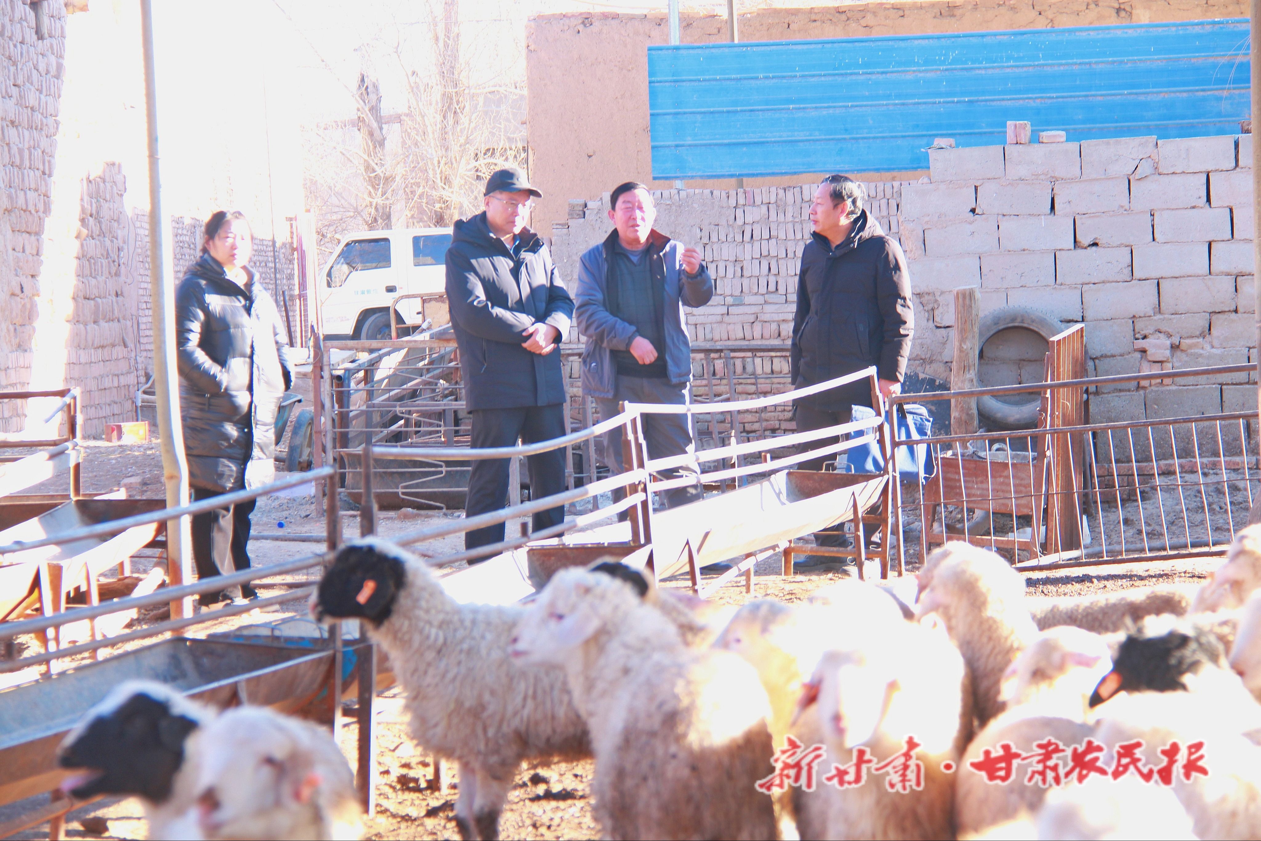 張寶玉在他的養(yǎng)殖場