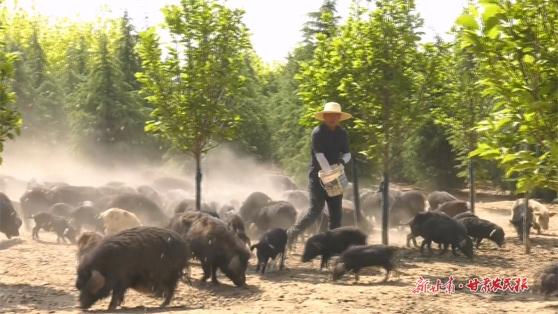 1772071876576934.jpg 微信圖片_20260225162708_182_176.jpg