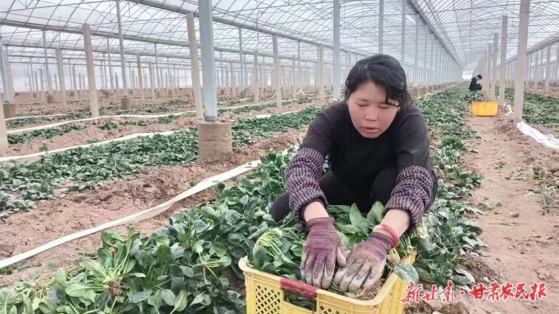 1772243179749336.jpg 微信圖片_20260227161317_198_176.jpg