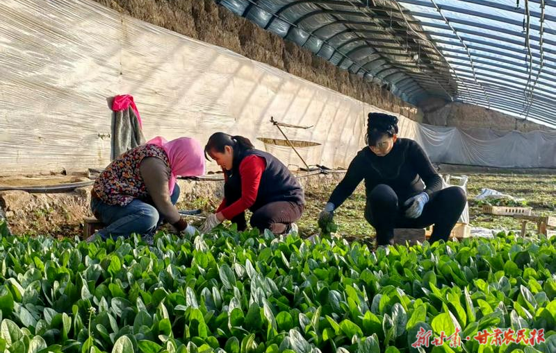 1772503791890720.png 微信圖片_20260302152409_200_102.png