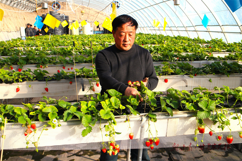 1772504250217864.jpg 微信圖片_20260302164316_240_8.jpg