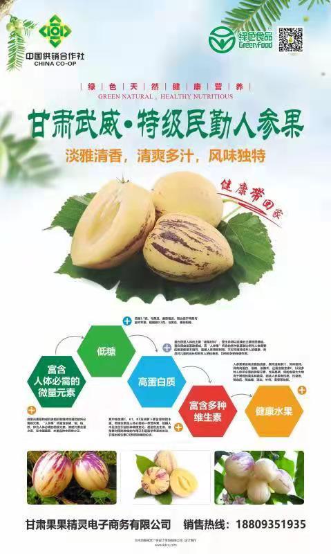 甘肅武威&middot;特級(jí)民勤人參果