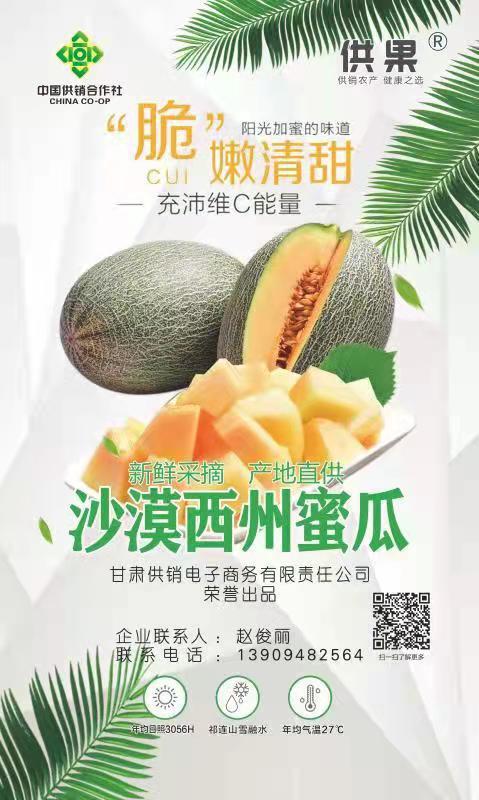 沙漠西州蜜瓜