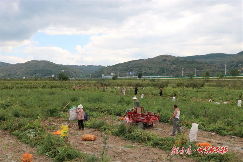 靜寧：威戎新區冷鏈物流項目助力鄉村振興&ldquo;加速跑&rdquo;