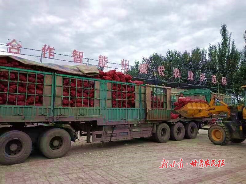 崇信：迷你小南瓜變致富&ldquo;金元寶&rdquo;