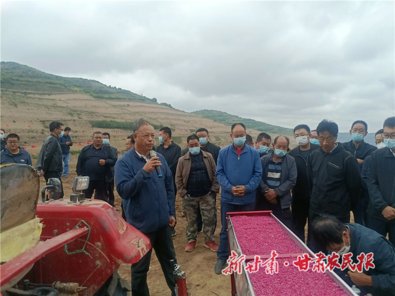 靜寧：農(nóng)技人員來幫忙 抓好秋播保豐收