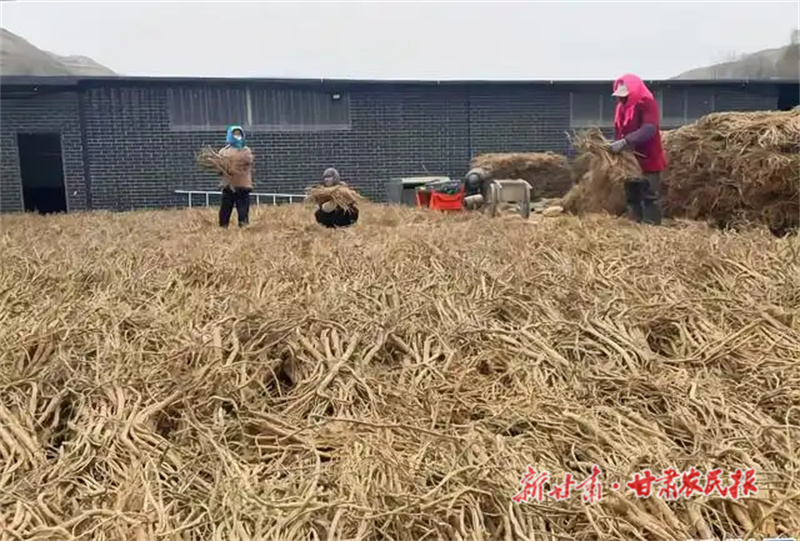 【回望2024&middot;足跡】滿載而歸看增收