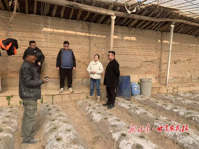 西固區新城鎮：搶抓春耕黃金期 開啟一年好&ldquo;豐&rdquo;景