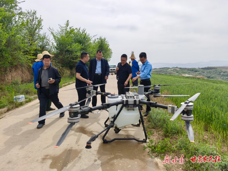 植保無(wú)人機(jī)為小麥穩(wěn)產(chǎn)噴農(nóng)藥