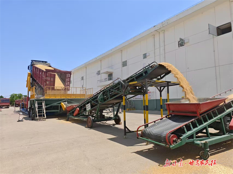 崆峒區：顆粒歸倉保民生