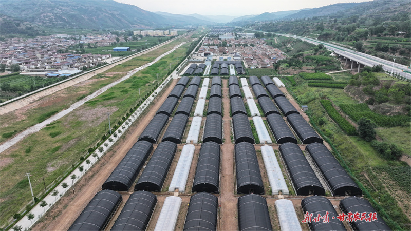 莊浪：&ldquo;雙輪驅(qū)動&rdquo;推動集體經(jīng)濟多元化發(fā)展