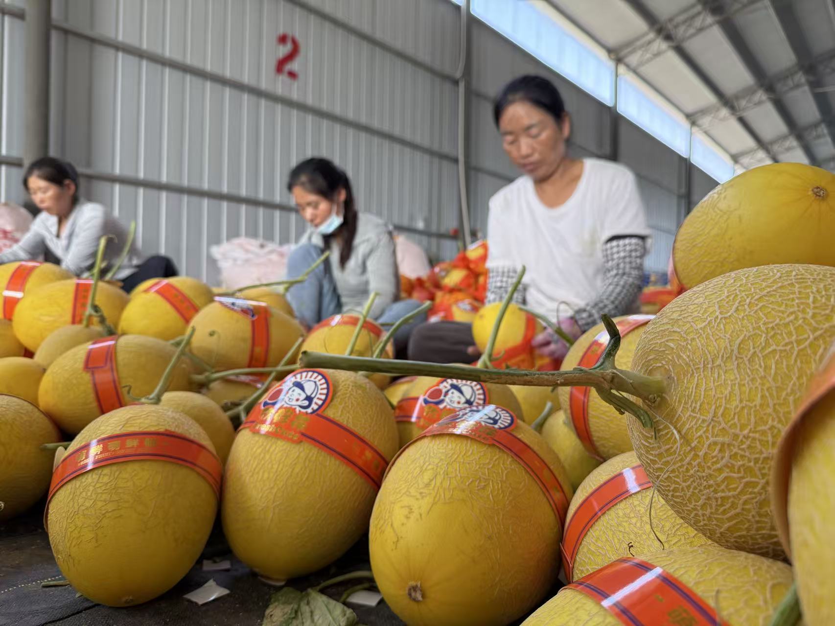 &ldquo;豐登高臺&rdquo;農文旅融合媒體行暨網絡主題宣傳活動將于9月22日&mdash;24日舉行