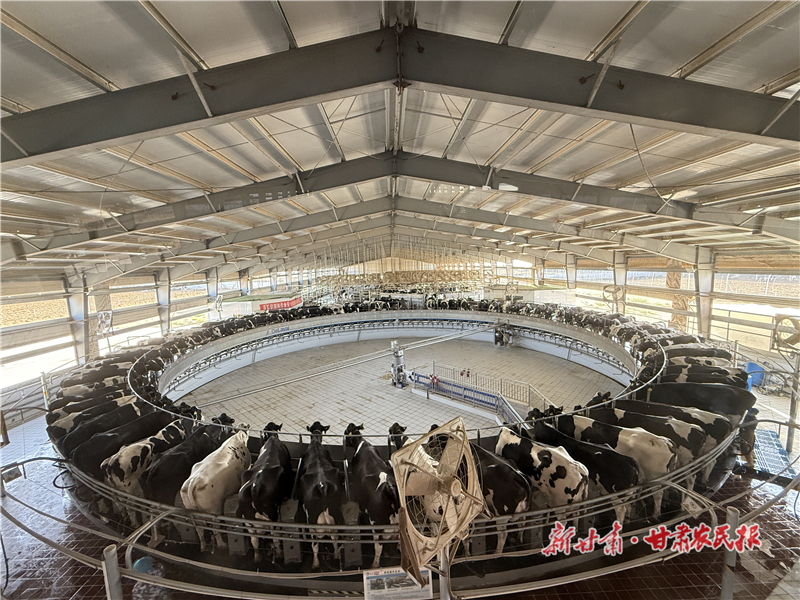 &ldquo;一頭牛&rdquo;牽出&ldquo;一條鏈&rdquo;&mdash;&mdash;高臺(tái)&ldquo;牛經(jīng)濟(jì)&rdquo;串起綠色增收鏈