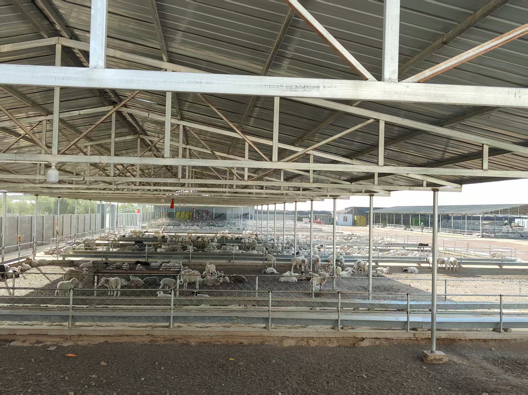 馬八的&ldquo;快字訣&rdquo;