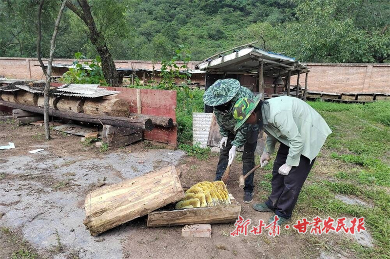 華亭：興民村的&ldquo;甜蜜經(jīng)濟(jì)&rdquo;