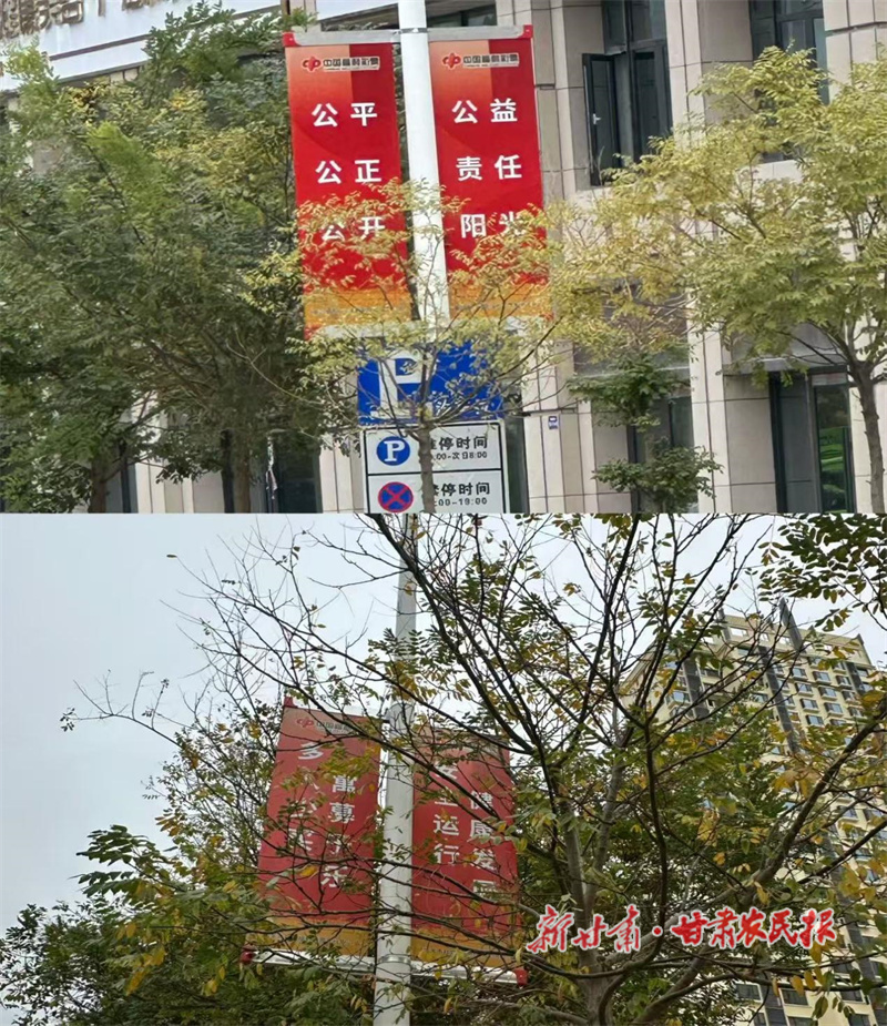 點亮公益路 福彩暖人心&mdash;&mdash;嘉峪關福彩在市內多路段布置宣傳道旗