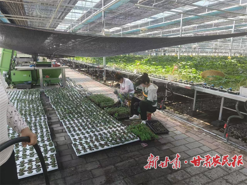 秦州區：2025民生&ldquo;成績單&rdquo;刷屏