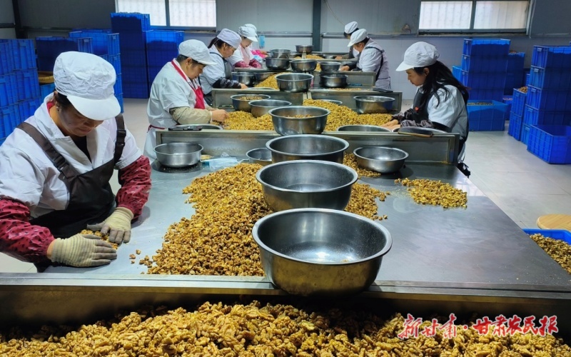 康縣：&ldquo;媽媽崗&rdquo;破解 &ldquo;顧家務工&rdquo;難題