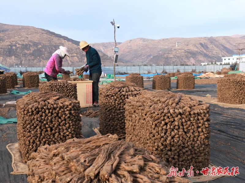 岷縣梅川鎮藥材晾曬場