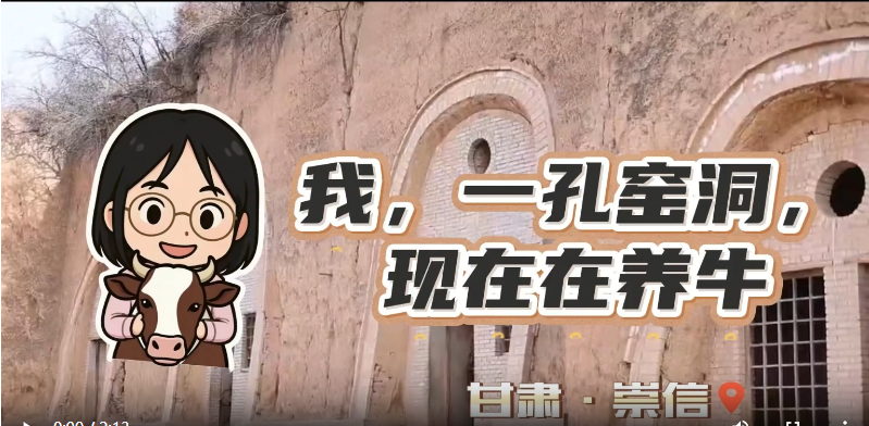 我，一孔窯洞，現在在養牛