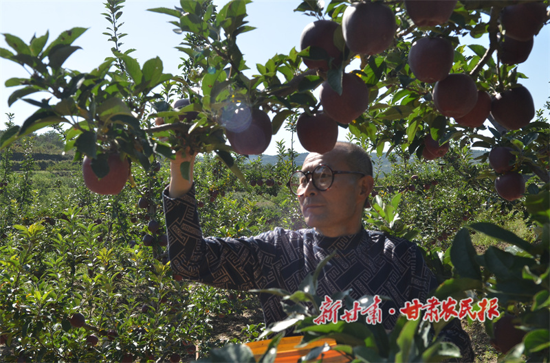 秦州區：鼓起腰包過大年