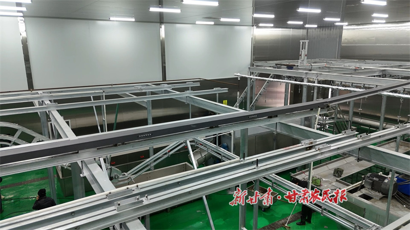 甘谷縣：生豬屠宰加工企業投產助力產業升級 