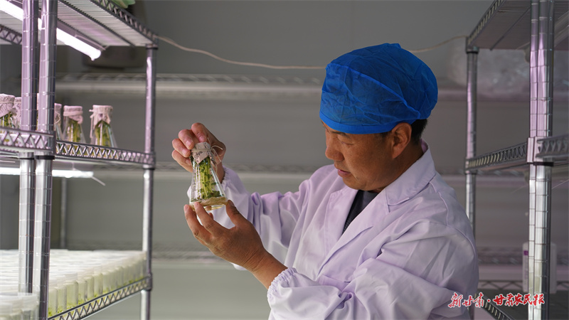 靜寧：旱塬披&ldquo;銀甲&rdquo; 科技保豐糧