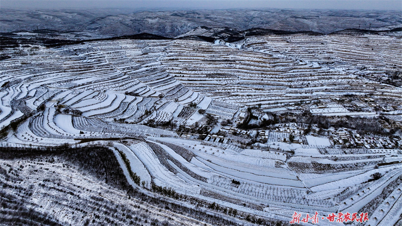 &ldquo;速凍模式&rdquo;即將上線！我省將迎大范圍寒潮雨雪天氣