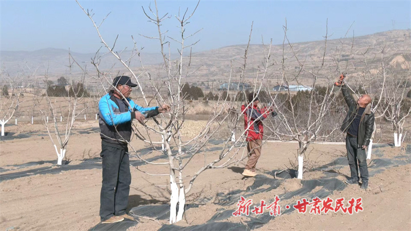 甘谷縣：借清溪灌區東風 激活特色農業與綠色工業雙引擎