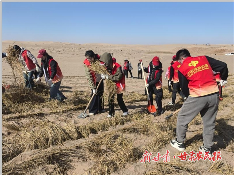 固沙護綠顯初心 責(zé)任福彩踐使命