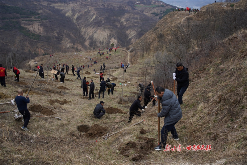 秦州區：文明實踐植沃土 和美鄉村展新卷 