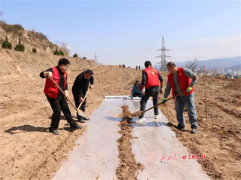 秦州區：果園改造正當時 科技育苗助春耕