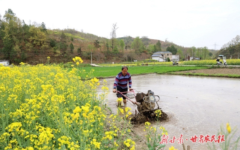 康縣：&ldquo;稻鄉&rdquo;育苗忙