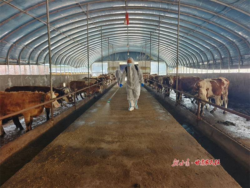秦州區：打好春季動物&ldquo;防疫針&rdquo; 筑牢畜牧業 &ldquo;安全墻&rdquo;